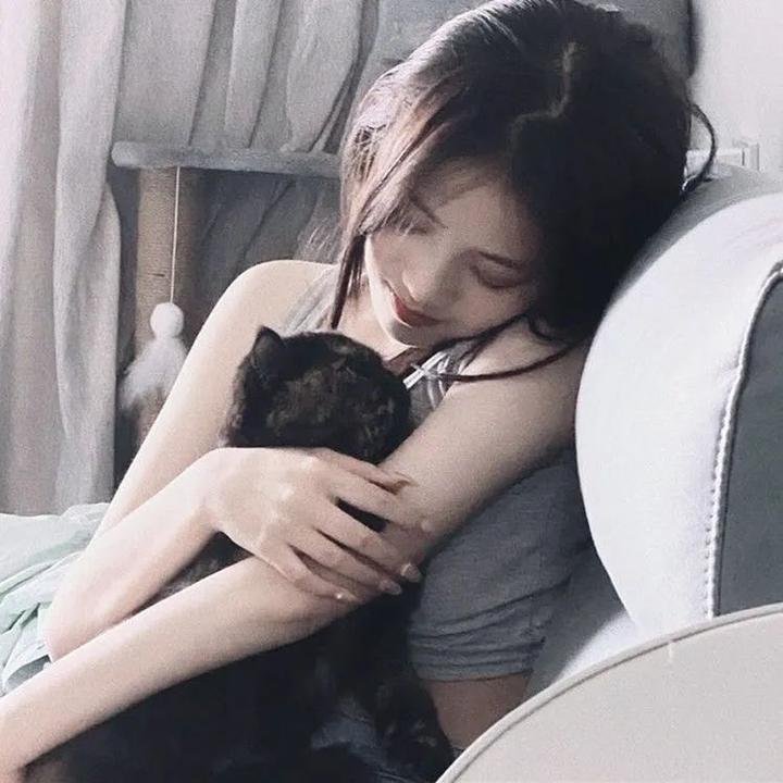 辛巴达：飞天公主与神秘岛